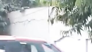 Larki nai  citywarden pagal kardiya