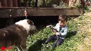 Baby and dog masti Pani ki sath