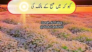 Sorh Faliq or Sorh Nass
