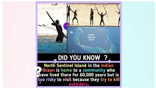 Did You Know Shocking Facts | World Amazing facts | Random Facts That will Blow Your Mind |
