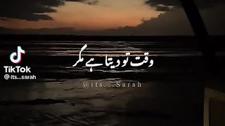 Short Status TikTok Vidoe