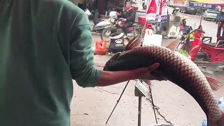 Men cutting Fish