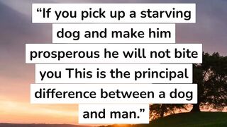 5 mark twain quotes #4 #short