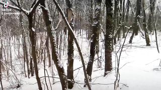 Приколы