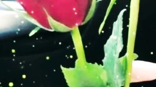Love video #valentine video