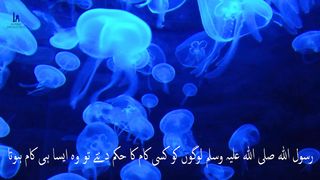 Hadees