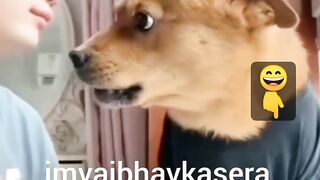 Funny Dog
