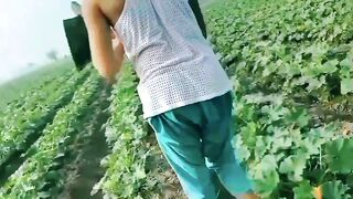 اپنے کام میں محنت کرو نہ کہ کسی کی نوکری