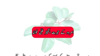 Amrood Khane Ke Fayde