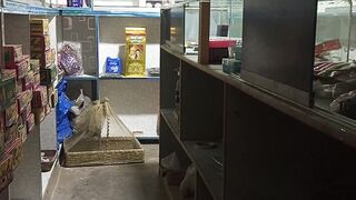 My shop