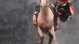 Dangerous horse riding