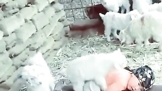 CHILD PLAY