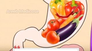 Digestive System #health #digestive #healthlifestyle