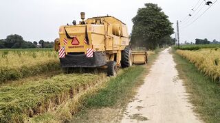Rice cutting machine