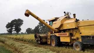 Rice Cutting Machine Part 2