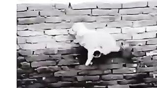 Struggling for last moment