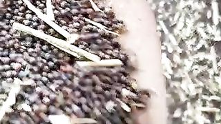 Eat food oil