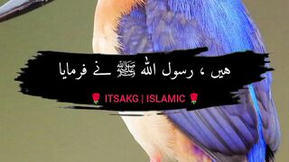 Hadees Mishkat Shareef 50 | حدیث مشکوٰۃ شریف