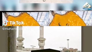 Ahelbait power