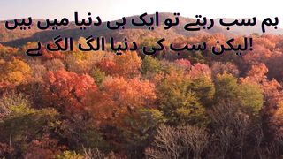 Lovely Urdu quotes