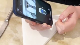 Keep an eye on your puppy with Dog Mode & the Tesla app