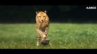 Motivational video | This will change your life