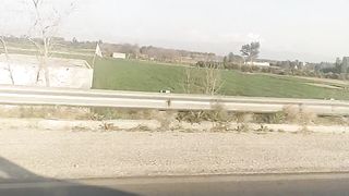 Green fields in swabi