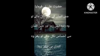 Hazrat Ali quotes