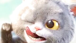 Viral Cute Cat
