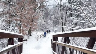 Winter 2