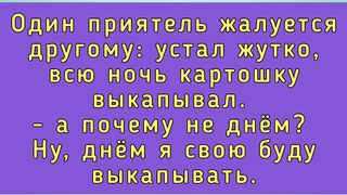 Анекдоты - шутки - приколы.