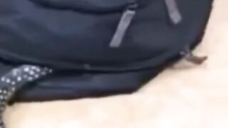 Змея ????