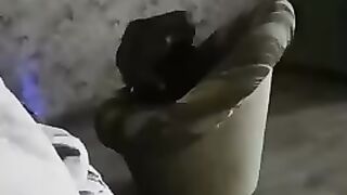 Коты 2