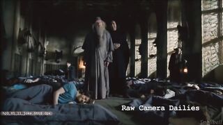 Harry Potter funny video