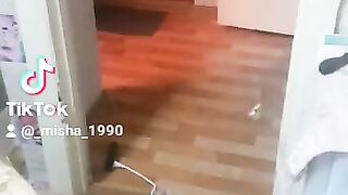 Кот против колокольчика