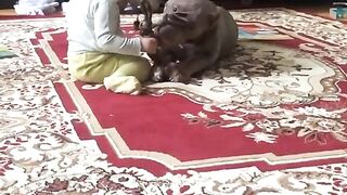 Dog ????