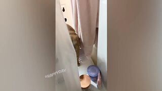 Приколы с кошками 3