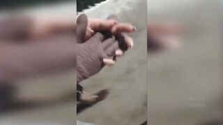 Смешно до слез