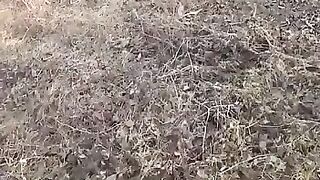 Рыба моей мечты