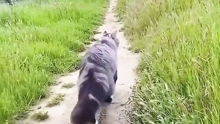 Охотник ????