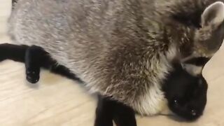 Любовь 2