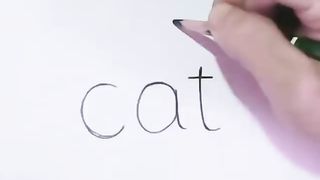 create cat