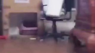 Funny Pets Dog Cat - Amazing Funny 2023 Good Video