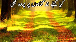 Insaan Kay Chand gunnah