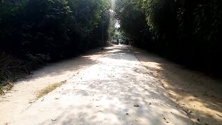 University of agriculture Faisalabad
