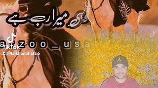My tiktok vedio