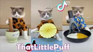 That Little Puff | Tiktok Compilation