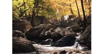 Nature for all