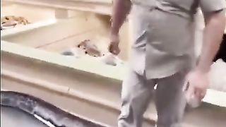snake is thrown outta here