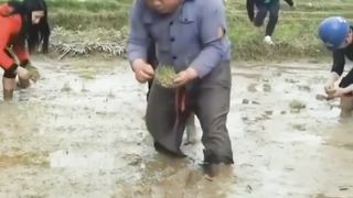 can't stop laughing at funny videos compilation